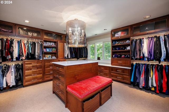 spacious closet with light colored carpet