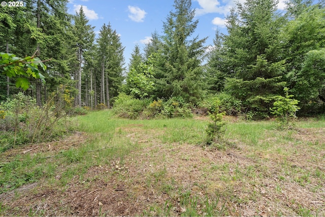 NW Pumpkin Ridge Rd, North Plains, OR 97133