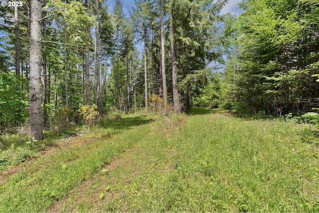 NW Pumpkin Ridge Rd, North Plains, OR 97133