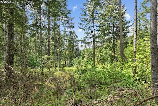 NW Pumpkin Ridge Rd, North Plains, OR 97133