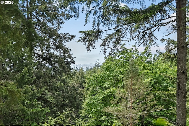 NW Pumpkin Ridge Rd, North Plains, OR 97133