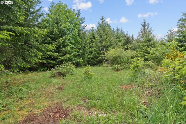 NW Pumpkin Ridge Rd, North Plains, OR 97133