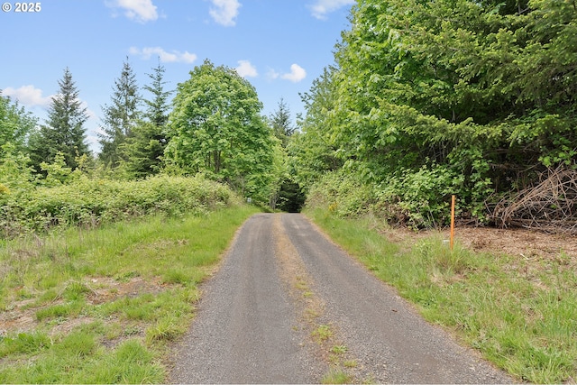 NW Pumpkin Ridge Rd, North Plains, OR 97133