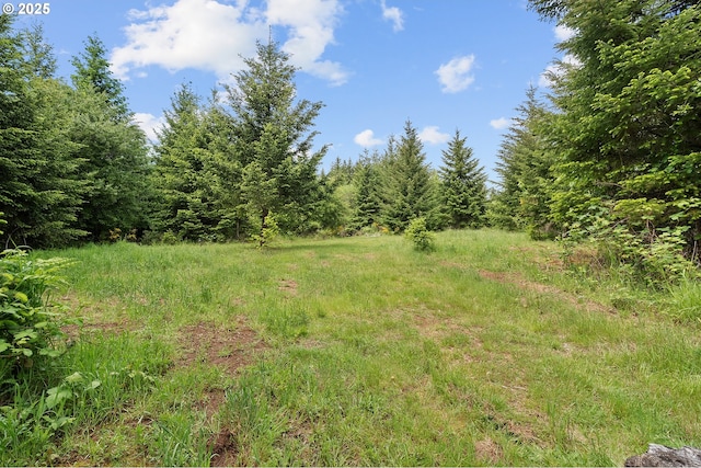 NW Pumpkin Ridge Rd, North Plains, OR 97133
