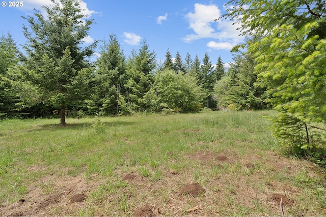 NW Pumpkin Ridge Rd, North Plains, OR 97133