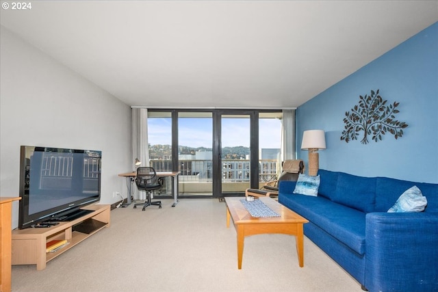 carpeted living room with expansive windows