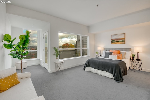 bedroom with carpet flooring