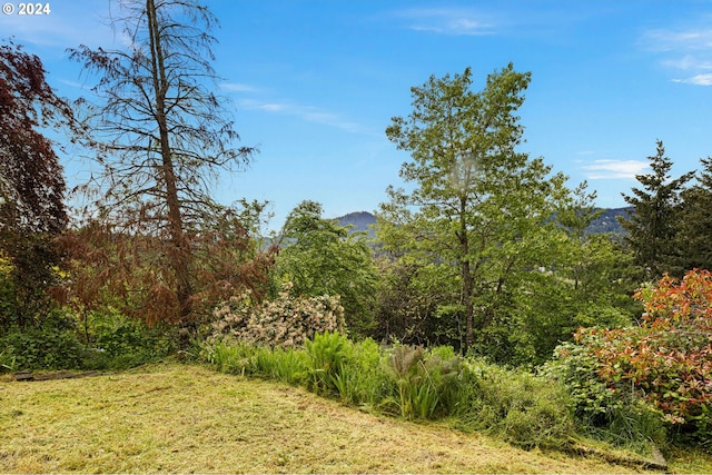 view of yard featuring a mountain view