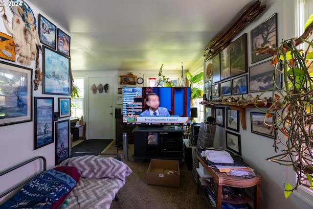 living room with carpet flooring