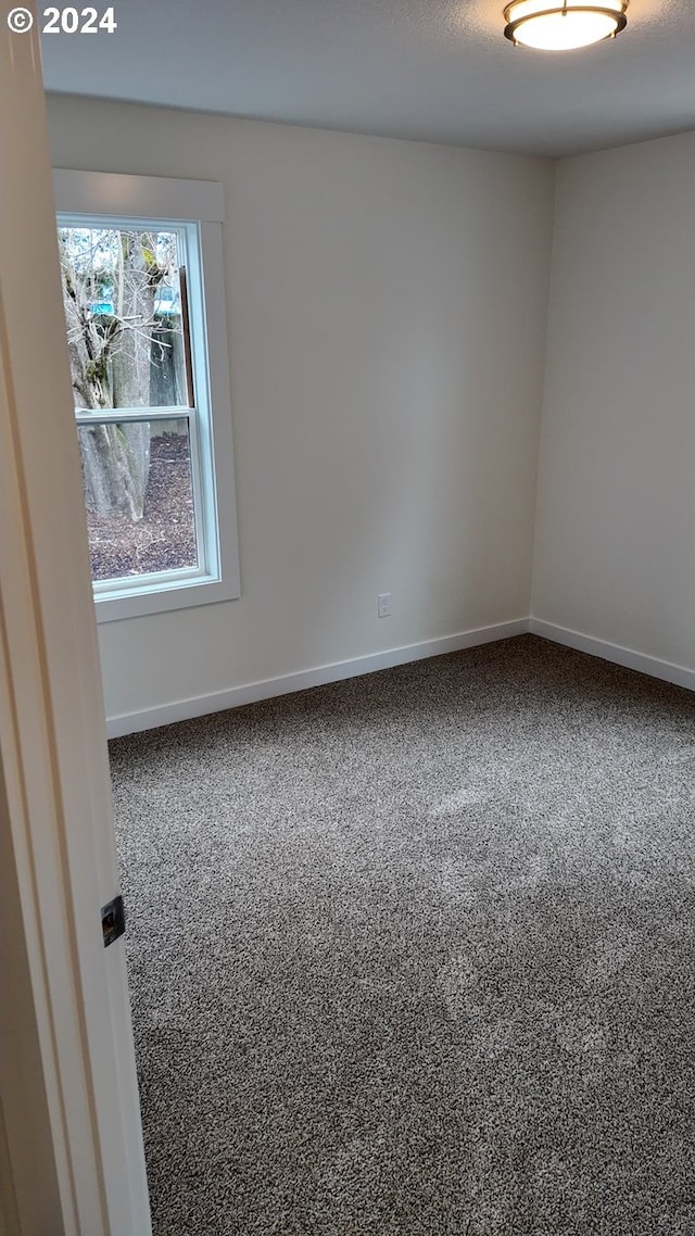 view of carpeted empty room