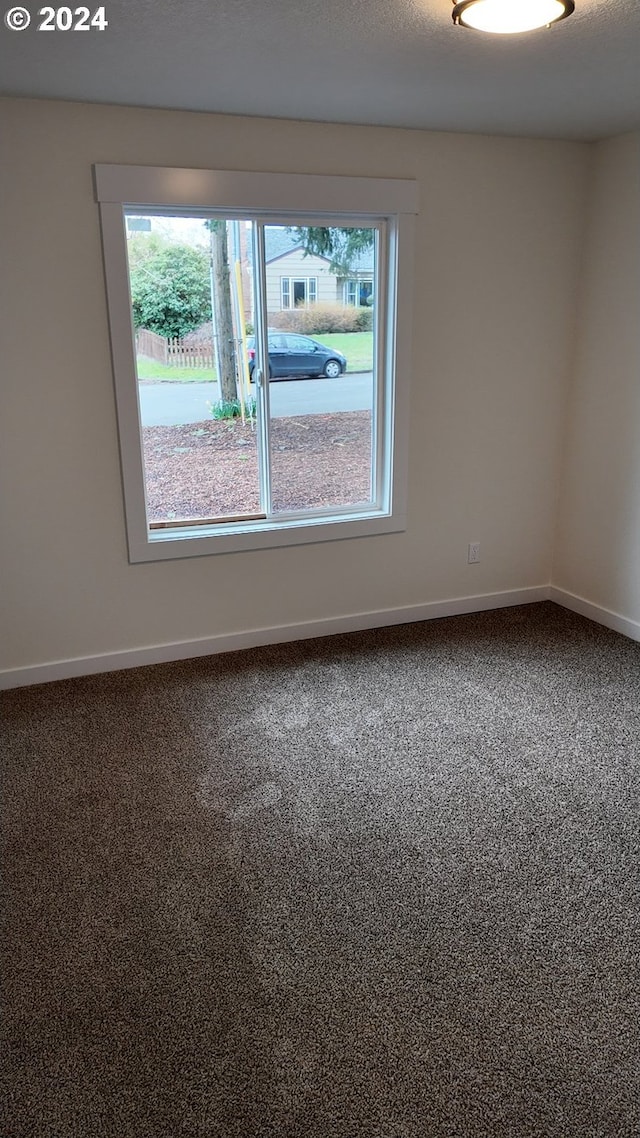 spare room with carpet floors