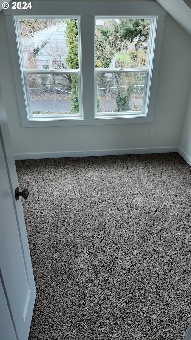 additional living space with carpet flooring and vaulted ceiling