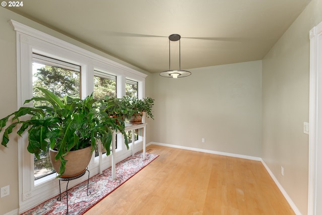 dining space featuring light hardwood / wood-style floors