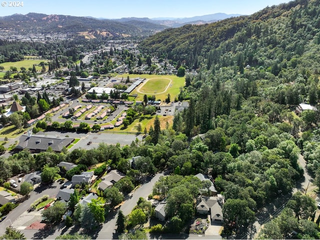 drone / aerial view featuring a mountain view