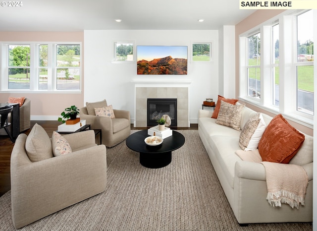 living room featuring a fireplace and hardwood / wood-style flooring