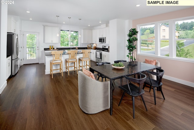 dining area featuring plenty of natural light and dark wood-type flooring