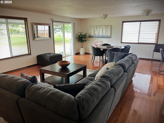 living room featuring wood-type flooring and a textured ceiling