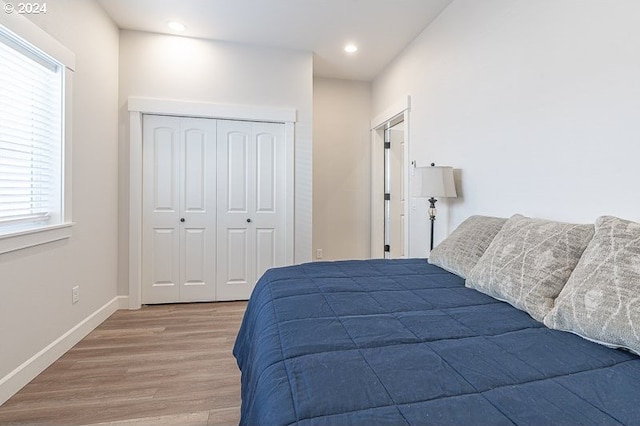 bedroom featuring wood-type flooring and a closet