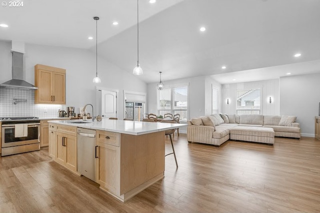 kitchen with appliances with stainless steel finishes, wall chimney exhaust hood, tasteful backsplash, an island with sink, and sink