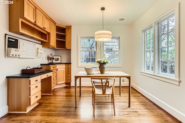 kitchen featuring pendant lighting, dark hardwood / wood-style flooring, and a healthy amount of sunlight