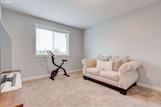 living area with light carpet