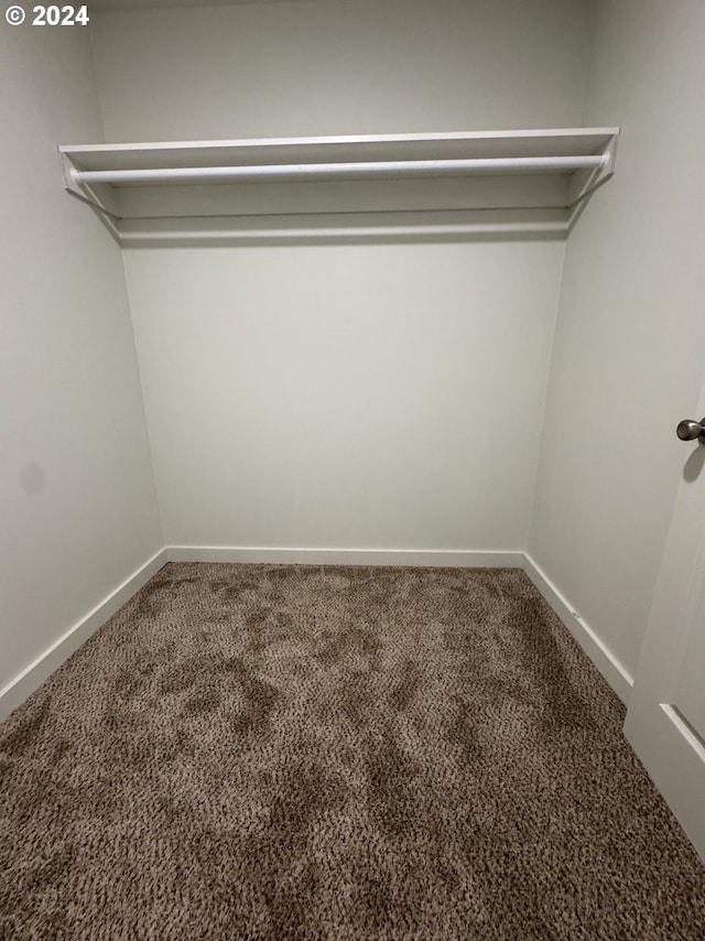 walk in closet featuring carpet flooring