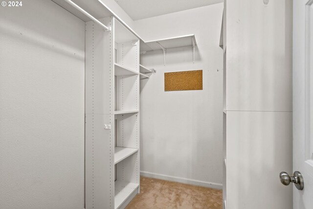 spacious closet featuring light carpet