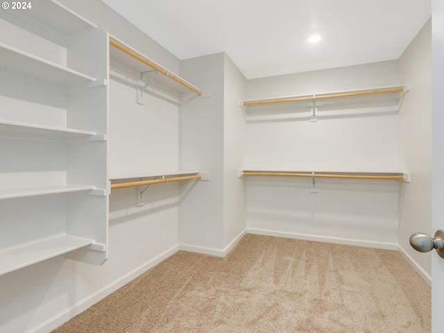 spacious closet with light carpet