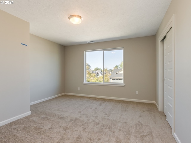 interior space featuring a closet, light colored carpet, and a textured ceiling