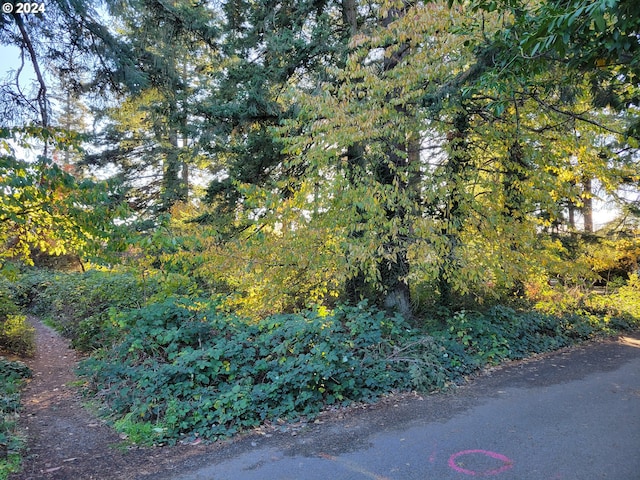 13900 SE Knight St, Portland OR, 97236 land for sale