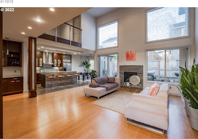 living room with a high ceiling and light hardwood / wood-style flooring