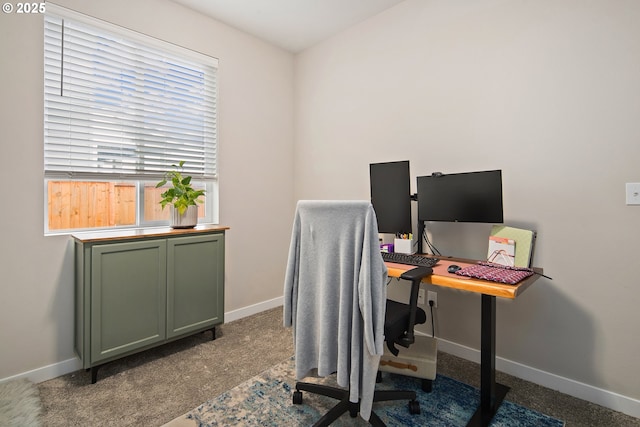 office area featuring carpet flooring