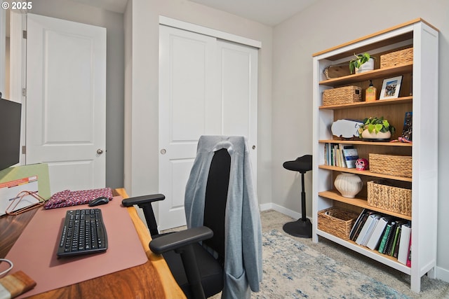 office with carpet floors