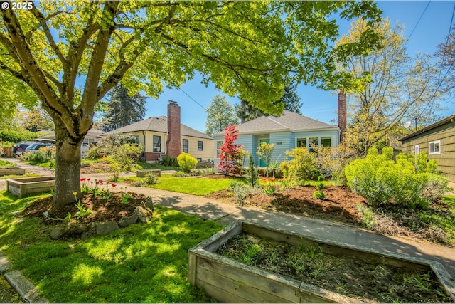 view of grassy yard with a vegetable garden