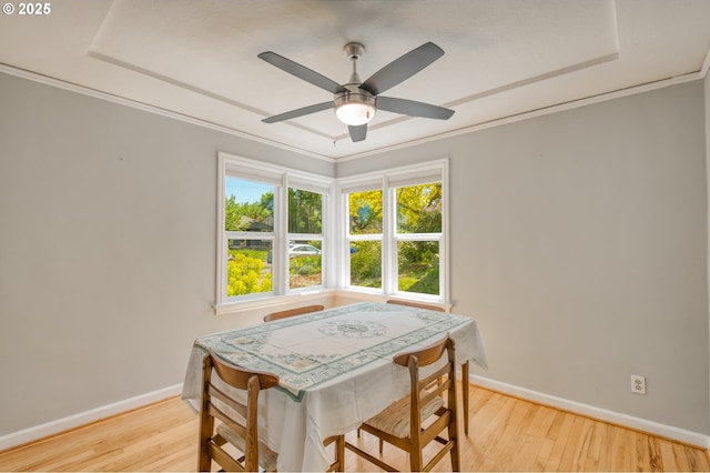 dining room featuring light wood-type flooring, baseboards, ceiling fan, and ornamental molding