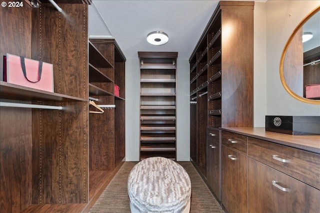 view of walk in closet