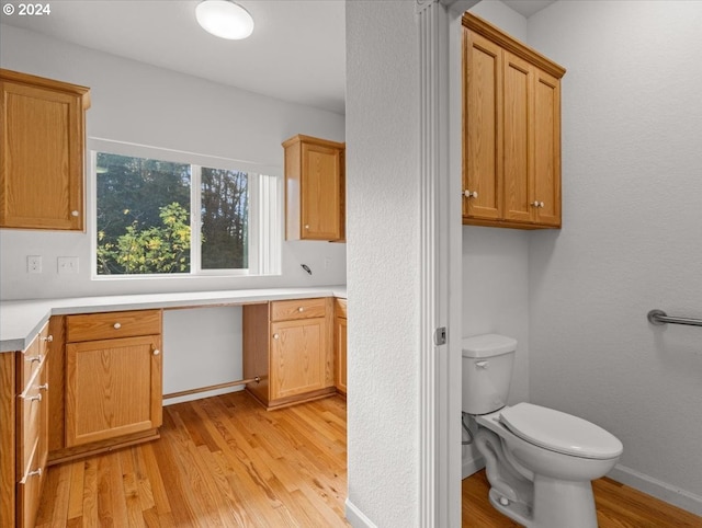 interior space featuring toilet, hardwood / wood-style floors, and vanity