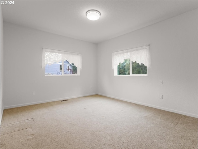 spare room with a wealth of natural light and carpet floors