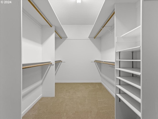 spacious closet with light carpet