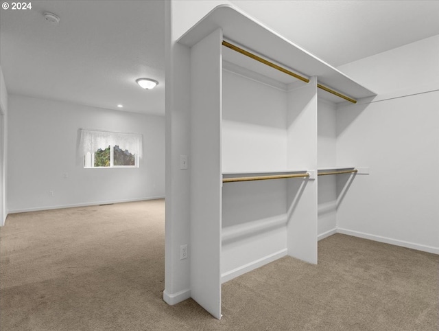 walk in closet featuring light colored carpet