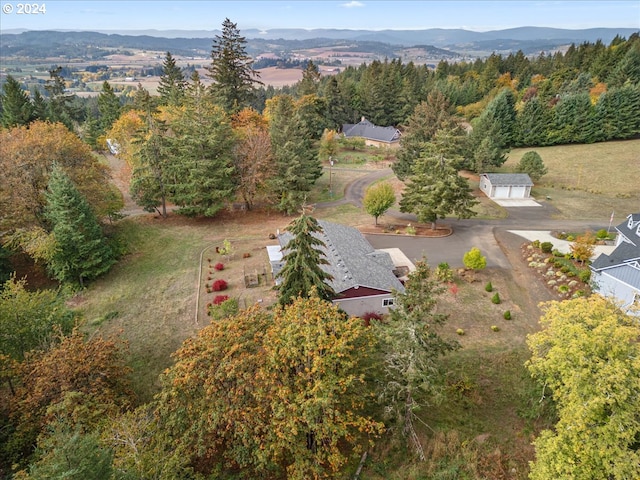 drone / aerial view featuring a mountain view