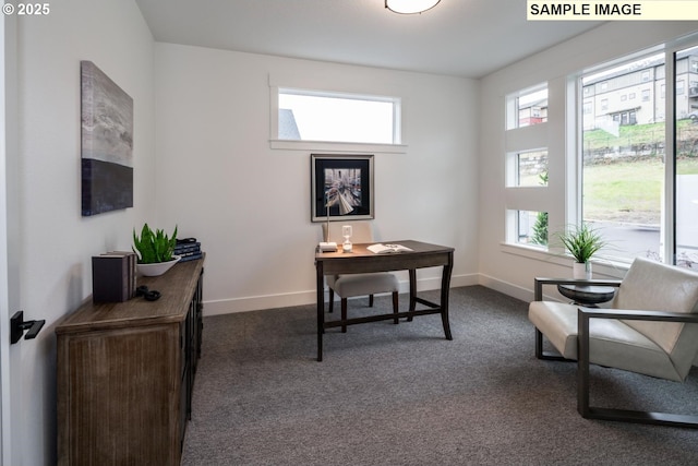 1004 S Mountain Pl, Ridgefield, WA 98642 - home office with healthy amount of natural light, dark carpet, and baseboards