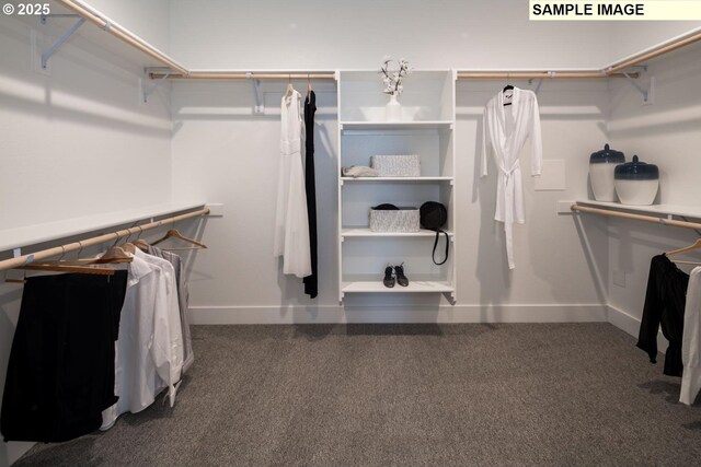 1004 S Mountain Pl, Ridgefield, WA 98642 - view of spacious closet