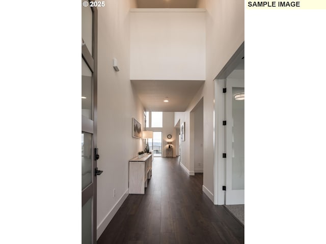 1004 S Mountain Pl, Ridgefield, WA 98642 - entrance foyer featuring dark wood-style floors, baseboards, and a high ceiling