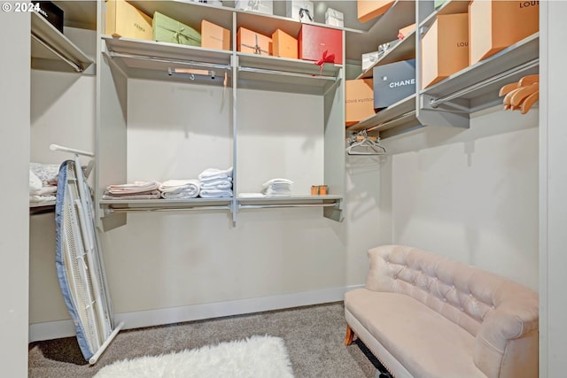 spacious closet featuring carpet flooring