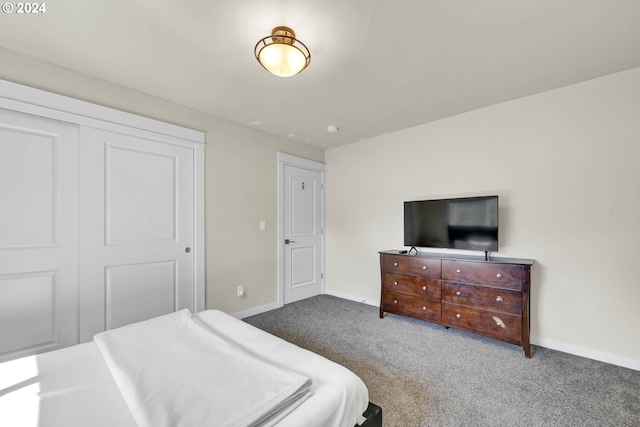 bedroom featuring a closet and carpet