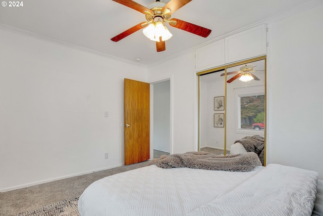 bedroom with a closet, ceiling fan, carpet flooring, and crown molding