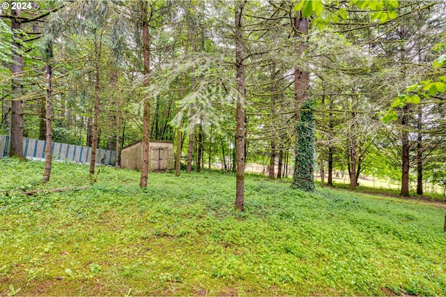 view of yard with a storage shed