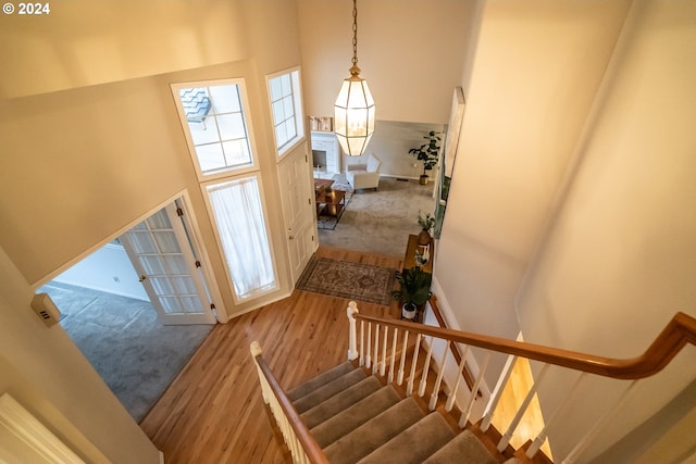 staircase featuring hardwood / wood-style floors and a high ceiling