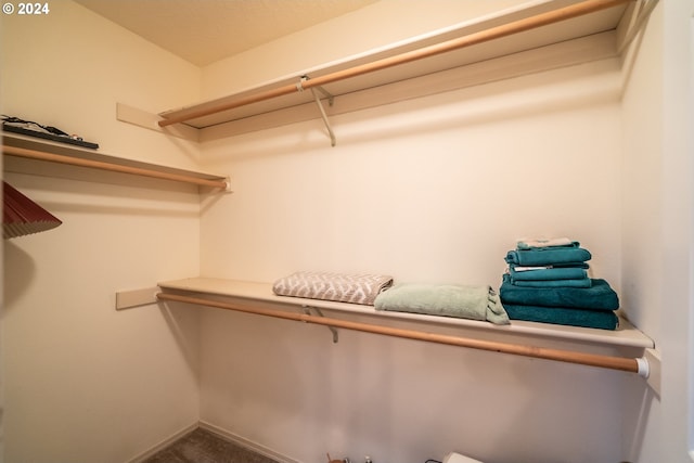 spacious closet featuring carpet floors